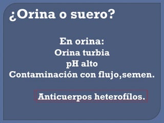 ¿Orina o suero?
En orina:
Orina turbia
pH alto
Contaminación con flujo,semen.
Anticuerpos heterofílos.
 
