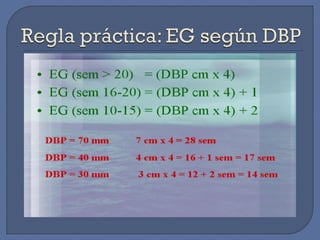 Diagnostico embarazo