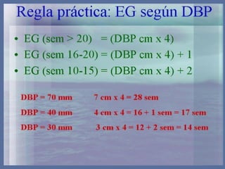 Diagnostico embarazo