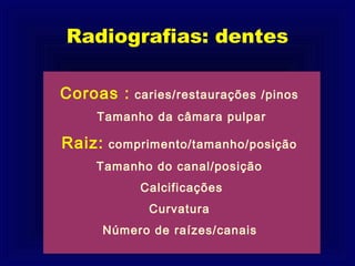 Radiografias: dentes

Coroas :   caries/restaurações /pinos
    Tamanho da câmara pulpar

Raiz:   comprimento/tamanho/posição
    Tamanho do canal/posição
            Calcificações
             Curvatura
    Número de raízes/canais
 