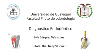Universidad de Guayaquil
Facultad Piloto de odontología
Diagnóstico Endodóntico
Luis Bósquez Velásquez
Tutora: Dra. Nelly Vásquez
 