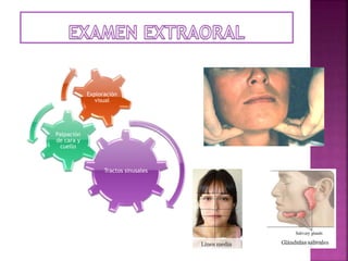 Tractos sinusales
Palpación
de cara y
cuello
Exploración
visual
 