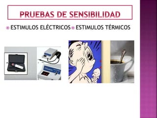  ESTIMULOS ELÉCTRICOS ESTIMULOS TÉRMICOS
 