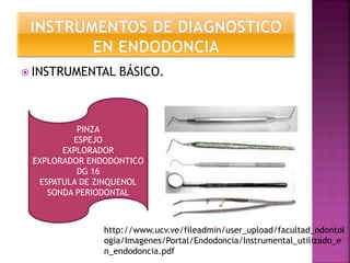  INSTRUMENTAL BÁSICO.
PINZA
ESPEJO
EXPLORADOR
EXPLORADOR ENDODONTICO
DG 16
ESPATULA DE ZINQUENOL
SONDA PERIODONTAL
http://www.ucv.ve/fileadmin/user_upload/facultad_odontol
ogia/Imagenes/Portal/Endodoncia/Instrumental_utilizado_e
n_endodoncia.pdf
 