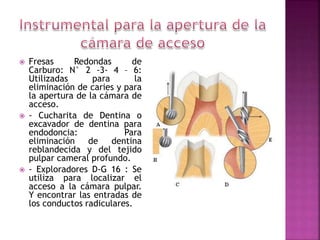 Fresas Redondas de
Carburo: N° 2 -3- 4 – 6:
Utilizadas para la
eliminación de caries y para
la apertura de la cámara de
acceso.
 - Cucharita de Dentina o
excavador de dentina para
endodoncia: Para
eliminación de dentina
reblandecida y del tejido
pulpar cameral profundo.
 - Exploradores D-G 16 : Se
utiliza para localizar el
acceso a la cámara pulpar.
Y encontrar las entradas de
los conductos radiculares.
 