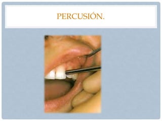 PERCUSIÓN.
 