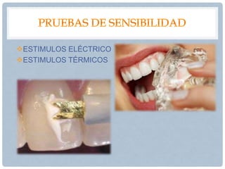 ESTIMULOS ELÉCTRICO
ESTIMULOS TÉRMICOS
 