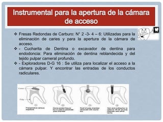  Fresas Redondas de Carburo: N° 2 -3- 4 – 6: Utilizadas para la
eliminación de caries y para la apertura de la cámara de
acceso.
 - Cucharita de Dentina o excavador de dentina para
endodoncia: Para eliminación de dentina reblandecida y del
tejido pulpar cameral profundo.
 - Exploradores D-G 16 : Se utiliza para localizar el acceso a la
cámara pulpar. Y encontrar las entradas de los conductos
radiculares.
 