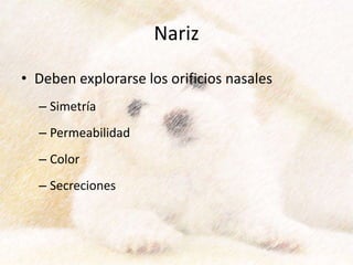 Nariz
• Deben explorarse los orificios nasales
– Simetría
– Permeabilidad
– Color
– Secreciones
 