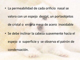 • La permeabilidad de cada orificio nasal se
valora con un espejo dental, un portaobjetos
de cristal o en una mesa de acero inoxidable
• Se debe inclinar la cabeza suavemente hacia el
espejo o superficie y se observa el patrón de
condensación.
 