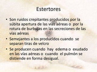 Estertores
• Son ruidos crepitantes producidos por la
súbita apertura de las vías aéreas o por la
rotura de burbujas en las secreciones de las
vías aéreas
• Semejantes a los producidos cuando se
separan tiras de velcro
• Se producen cuando hay edema o exudado
en las vías aéreas o cuando el pulmón se
distiende en forma desigual.
 
