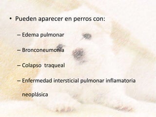 • Pueden aparecer en perros con:
– Edema pulmonar
– Bronconeumonía
– Colapso traqueal
– Enfermedad intersticial pulmonar inflamatoria
neoplásica
 