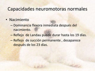 • Nacimiento
– Dominancia flexora inmediata después del
nacimiento.
– Reflejo de Landau puede durar hasta los 19 días.
– Reflejo de succión permanente , desaparece
después de los 23 días.
Capacidades neuromotoras normales
 