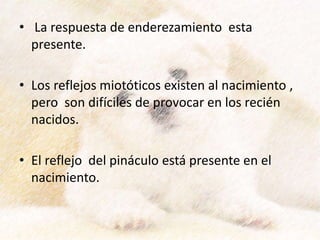 • La respuesta de enderezamiento esta
presente.
• Los reflejos miotóticos existen al nacimiento ,
pero son difíciles de provocar en los recién
nacidos.
• El reflejo del pináculo está presente en el
nacimiento.
 