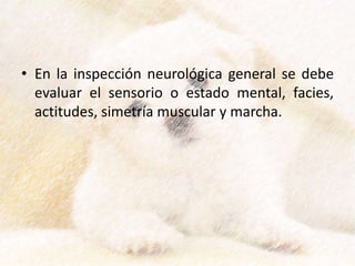 • En la inspección neurológica general se debe
evaluar el sensorio o estado mental, facies,
actitudes, simetría muscular y marcha.
 