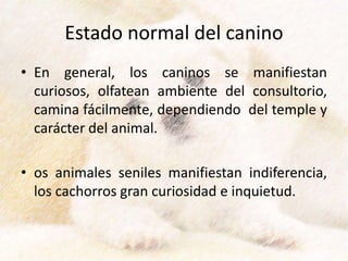 Estado normal del canino
• En general, los caninos se manifiestan
curiosos, olfatean ambiente del consultorio,
camina fácilmente, dependiendo del temple y
carácter del animal.
• os animales seniles manifiestan indiferencia,
los cachorros gran curiosidad e inquietud.
 