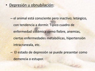 • Depresión u obnubilación:
– el animal está consciente pero inactivo; letárgico,
con tendencia a dormir. Típico cuadro de
enfermedad sistémica como fiebre, anemias,
ciertas enfermedades metabólicas, hipertensión
intracraneala, etc.
– El estado de depresión se puede presentar como
demencia o estupor.
 