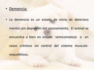 • Demencia:
• La demencia es un estado de inicio de deterioro
mental con depresión del razonamiento. El animal se
encuentra o bien en estado semicomatoso o en
casos crónicos sin control del sistema musculo-
esqueléticos.
 