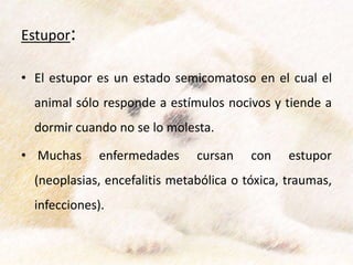 Estupor:
• El estupor es un estado semicomatoso en el cual el
animal sólo responde a estímulos nocivos y tiende a
dormir cuando no se lo molesta.
• Muchas enfermedades cursan con estupor
(neoplasias, encefalitis metabólica o tóxica, traumas,
infecciones).
 