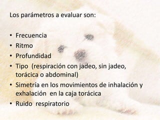 Los parámetros a evaluar son:
• Frecuencia
• Ritmo
• Profundidad
• Tipo (respiración con jadeo, sin jadeo,
torácica o abdominal)
• Simetría en los movimientos de inhalación y
exhalación en la caja torácica
• Ruido respiratorio
 