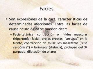 Facies
• Son expresiones de la cara, características de
determinadas afecciones. Entre las facies de
causa neurológica se pueden citar:
– Facie tetánica: contracción o rigidez muscular
(hipertonía) facial: orejas erectas, “arrugas” en la
frente, contracción de músculos maseteros (“risa
sardónica”) y faríngeos (disfagia), prolapso del 3ª
párpado, dilatación de ollares
 