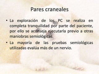 Pares craneales
• La exploración de los PC se realiza en
completa tranquilidad por parte del paciente,
por ello se aconseja ejecutarla previo a otras
maniobras semiológicas.
• La mayoría de las pruebas semiológicas
utilizadas evalúa más de un nervio.
 