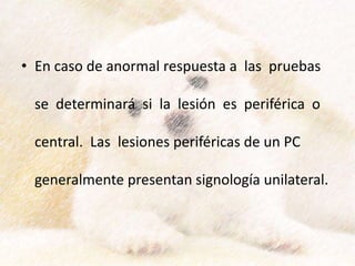 • En caso de anormal respuesta a las pruebas
se determinará si la lesión es periférica o
central. Las lesiones periféricas de un PC
generalmente presentan signología unilateral.
 