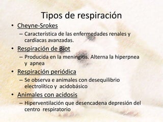 Tipos de respiración
• Cheyne-Srokes
– Característica de las enfermedades renales y
cardíacas avanzadas.
• Respiración de Biot
– Producida en la meningitis. Alterna la hiperpnea
y apnea
• Respiración periódica
– Se observa e animales con desequilibrio
electrolítico y acidobásico
• Animales con acidosis
– Hiperventilación que desencadena depresión del
centro respiratorio
 