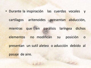• Durante la inspiración las cuerdas vocales y
cartílagos aritenoides presentan abducción,
mientras que en parálisis laríngea dichos
elementos no modifican su posición o
presentan un sutil aleteo o aducción debido al
pasaje de aire.
 