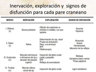 Inervación, exploración y signos de
disfunción para cada pare craneano
 