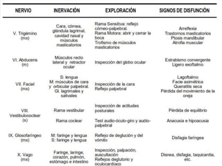 metodología diagnóstica en perros 