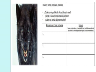 Diagnóstico Estratégico