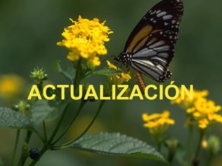 ACTUALIZACIÓN
 