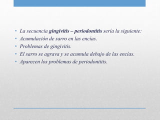 • La secuencia gingivitis – periodontitis sería la siguiente:
• Acumulación de sarro en las encías.
• Problemas de gingivitis.
• El sarro se agrava y se acumula debajo de las encías.
• Aparecen los problemas de periodontitis.
 