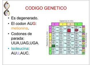 Diagnostico Molecular De Las Enfermedades Pdf | PDF