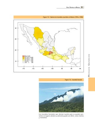 RIESGOS QUÍMICOS 
ATL AS NACIONAL DE RIESGOS 201 
30 
25 
20 
15 
Más 10,000 
De 7,001 a 10,000 
De 3,001 a 7,000 
De 1,001 a 3,000 
De 501 a 1,000 
De 0 a 500 
Figura 112. Número de incendios ocurridos en México (1994 a 1998) 
-115 -110 -105 -100 -95 -90 -85 
Los incendios forestales que afectan nuestro país se pueden pre-sentar 
en lugares donde su extinción puede ser difícil, como montes 
y montañas. 
Figura 113. Incendio forestal 
 