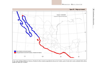 54 SISTEMA NACIONAL DE PROTECCIÓN CIVIL 
RIESGOS GEOLÓGICOS 
Figura 29. Peligro por tsunami 
Area receptora de tsunamis lejanos 
Area generadora de tsunamis locales y receptora de lejanos 
Escala 1:16,000,000 
32° 
24° 
16° 
Proyección de Lambert Azimuthal Equiarea 
104° 96° 88° 
112° 
En las costas de Baja California, Sonora y Sinaloa la altura máxima esperable de olas es de 3 metros; para el resto de la costa occidental dicha altura 
puede ser hasta de 10 metros. 
 