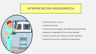 INTERPRETACIÓN RADIOGRÁFICA
 Comenzar por la corona.
 Analizar las raíces.
 Continuar por el espacio del ligamento periodontal.
 Analizar la integridad de la cortical alveolar.
 Evaluar el hueso que rodea las piezas dentarias.
 Observar estructuras anatómicas adyacentes.
 