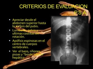 CRITERIOS DE EVALUACION
                          P.S.A.
 Apreciar desde el
  abdomen superior hasta
  la sínfisis del pubis.
 Lumbares, pelvis y
  ultimas costillas sin
  rotación.
 Apófisis espinosas en el
  centro de cuerpos
  vertebrales.
 Ver el bazo, riñones,
  psoas y “borde inferior
  hepático
 