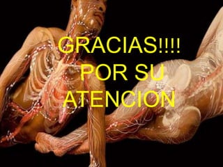 GRACIAS!!!!
 POR SU
ATENCION
 