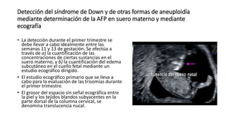 Detección del síndrome de Down y de otras formas de aneuploidía
mediante determinación de la AFP en suero materno y mediante
ecografía
• La detección durante el primer trimestre se
debe llevar a cabo idealmente entre las
semanas 11 y 13 de gestación. Se efectúa a
través de a) la cuantificación de las
concentraciones de ciertas sustancias en el
suero materno, y b) la cuantificación del edema
subcutáneo en el cuello fetal mediante un
estudio ecográfico dirigido.
• El estudio ecográfico primario que se lleva a
cabo para la evaluación de las trisomías durante
el primer trimestre.
• El grosor del espacio sin señal ecográfica entre
la piel y los tejidos blandos subyacentes en la
parte dorsal de la columna cervical, se
denomina translucencia nucal.
 
