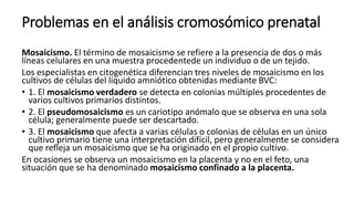 Problemas en el análisis cromosómico prenatal
Mosaicismo. El término de mosaicismo se refiere a la presencia de dos o más
líneas celulares en una muestra procedentede un individuo o de un tejido.
Los especialistas en citogenética diferencian tres niveles de mosaicismo en los
cultivos de células del líquido amniótico obtenidas mediante BVC:
• 1. El mosaicismo verdadero se detecta en colonias múltiples procedentes de
varios cultivos primarios distintos.
• 2. El pseudomosaicismo es un cariotipo anómalo que se observa en una sola
célula; generalmente puede ser descartado.
• 3. El mosaicismo que afecta a varias células o colonias de células en un único
cultivo primario tiene una interpretación difícil, pero generalmente se considera
que refleja un mosaicismo que se ha originado en el propio cultivo.
En ocasiones se observa un mosaicismo en la placenta y no en el feto, una
situación que se ha denominado mosaicismo confinado a la placenta.
 