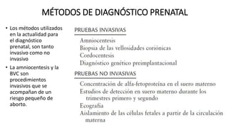 MÉTODOS DE DIAGNÓSTICO PRENATAL
• Los métodos utilizados
en la actualidad para
el diagnóstico
prenatal, son tanto
invasivo como no
invasivo
• La amniocentesis y la
BVC son
procedimientos
invasivos que se
acompañan de un
riesgo pequeño de
aborto.
 