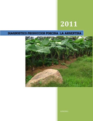 DIAGNOSTICO PRODUCCION PORCINA  LA ARGENTINA201121/02/201110458451807845<br />DIAGNOSTICO PRODUCCION PORCINA<br />MUNICIPIO DE LA ARGENTINA HUILA<br />PRACTICAS DE BIOSEGURIDAD<br />POR: <br />YAMILIET DAMARIS ERAZO<br />YOLANDA TORRES LASSO<br />MERCEDES ISABELZUÑIGA <br />LUIS ARNULFO  GUTIERREZ MENA<br />CENTRO DE DESARROLLO AGROEMPRESARIAL Y TURISTICO DEL HUILA<br />TECNOLOGO EN PRODUCCION AGROPECUARIA ECOLOGICA<br />MUNICIPIO DE LA ARGENTINA HUILA <br />21 DE FEBRERO DE 2011<br />DIAGNOSTICO PRODUCCION PORCINA<br />MUNICIPIO DE LA ARGENTINA HUILA<br />PRACTICAS DE BIOSEGURIDAD<br />POR: <br />YAMILIET DAMARIS ERAZO<br />YOLANDA TORRES LASSO<br />MERCEDES ISABELZUÑIGA <br />LUIS ARNULFO  GUTIERREZ MENA<br />INSTRUCTOR:<br />WILLIAM EDUARDO RAMIREZ CUENCA<br />MEDICO VETERINARIO ZOOTECNISTA<br />NUMERO DE FICHA:<br />26764<br />CENTRO DE DESARROLLO AGROEMPRESARIAL Y TURISTICO DEL HUILA<br />TECNOLOGO EN PRODUCCION AGROPECUARIA ECOLOGICA<br />MUNICIPIO DE LA ARGENTINA HUILA <br />21 DE FEBRERO DE 2011<br />349885749935<br />AGRADECIMIENTOS<br />A  Heberto  Hernández por toda su disposición <br />y colaboración para con los estudiantes <br />y por compartir sus valiosas  experiencias <br />Como productor líder y emprendedor<br />INTRODUCCION<br />Dentro De Nuestro Municipio la explotación porcina se viene realizando de forma artesanal, y muchas de las mismas han venido sintiendo el cambio por concepto de la competitividad en el mercado y las exigencias del consumidor.  Debido a esto se los productores necesitan articular a su producción planes de bioseguridad y saneamiento tanto para los cerdos como para el consumidor final, quien es el objetivo de cualquier producto. <br />Las normas básicas de bioseguridad en un principio pueden convertirse en un costo para el pequeño productor pero, desde el punto de vista económico puede mejorar de manera considerable la fácil comercialización  cualquiera que sea el objetivo principal de la empresa porcicola.<br />En este documento intentamos interpretar el estado actual de la producción porcicola en nuestro municipio, teniendo en cuenta el manejo dado en la finca villa juliana  a los cerdos y los avances  dado que es una de las más grandes producciones dentro de la región<br />TABLA DE CONTENIDO<br />Agradecimientos<br />Introducción<br />Objetivos<br />General<br />Específicos<br />Marco Teórico<br />Análisis De La Producción Dentro Del Municipio De La Argentina<br />Observaciones<br />Recomendaciones<br />Formato diagnostico<br />Conclusiones<br />Anexos<br />OBJETIVOS<br />GENERAL:<br />Analizar el estado actual de la producción porcina en nuestro municipio en lo relacionado con medidas básicas de Bioseguridad<br />ESPECIFICOS:<br />Visitar  la granja Villa Juliana, una de las más representativas en la producción porcicola de nuestro municipio<br />Entrevistar el dueño de la finca con el fin de conocer  a fondo el manejo de  la producción<br />Realizar un reconocimiento de  la aceptación del producto en el mercado<br />Diligenciar formato de registros de normas básicas de bioseguridad<br />MARCO  TEORICO<br />Los accidentes laborales o las condiciones de trabajo poco seguras pueden provocar enfermedades y lesiones temporales o permanentes e incluso causar la muerte no solo en el operario sino también en los animales cuando de  producciones pecuarias se trata. También ocasionan una reducción de la eficiencia y una pérdida de la productividad.<br />Antes de 1900 eran muchos los empresarios a los que no les preocupaba demasiado la seguridad de los obreros. Sólo empezaron a prestar atención al tema con la aprobación de las leyes de compensación a los trabajadores por parte de los gobiernos, entre 1908 y 1948: hacer más seguro el entorno del trabajo resultaba más barato que pagar compensaciones. <br />Las políticas actuales no son las de producir más, sino de mejor calidad con rentabilidad, productos diferenciados, inocuos y acordes a las necesidades de los consumidores. Esto ha hecho que se involucren más personas  en la producción y la salud de los animales, con el objetivo de reducir el riesgo de infección e implementar las medidas de prevención, tanto para operarios como para los mismos animales , y que todas las personas involucradas  también conozcan sobre bioseguridad en todos los eslabones de la cadena productiva, así como tomar en cuenta las necesidades del consumidor, con un enfoque hacia la salud pública, y de proporcionar un valor agregado a los productos.<br />En vez de curar los animales los médicos veterinarios han modificado su papel. Ahora deben proporcionar información que ayude al productor a tener mayores ganancias, asesoría económica y de negocios, o sea mostrar al productor el panorama externo del negocio y las razones por las cuales se llega a la sostenibilidad. <br />Los asesores y técnicos son hoy consultores dentro de toda la cadena de producción incluyendo porcicultores, procesadores, empacadores y consumidores. Esto es debido a que todos los miembros de la cadena <br />Productiva están expuestos a un exceso de información que es necesario que el consultor les ayude a procesar.<br />Se requiere un diseño e implementación de programas de inocuidad alimentaria o productos diferenciados, por ejemplo trabajando de manera conjunta con el productor y el procesador de la carne, u otros miembros de la cadena porcicola, para determinar las necesidades de mercado con el fin de satisfacer a un consumidor específico.<br />Un apoyo para la implementación medidas básicas de bioseguridad so la realización de auditorías externas en todos los eslabones de la cadena productiva. La educación continúa a los integrantes de la cadena productiva sobre las prácticas relacionadas con la inocuidad alimentaria.<br />ANALISIS DE LA PRODUCCION DENTRO DEL MUNICIPIO DE LA ARGENTINA<br />La producción porcicola dentro del municipio se desarrolla de  forma artesanal, donde generalmente las construcciones son elaboradas con materiales del medio, y se implementan algunas condiciones de bienestar como teteras para el suministro de agua a los cerdos  entre otras.<br />Estas condiciones se dan porque la producción porcicola no es un renglón de alta importancia en las granjas, toda  vez que estos se manejan como un ingreso extra en los hogares productores.<br />Algunas de las falencias en el tema de bioseguridad presentes en la producción es tener el pensamiento de que los cerdos son animales que por su rusticidad se acomodan a la situación donde se desarrollan, este pensamiento no permite visualizar que los riesgos asumidos dentro de la cadena y háblese de productor, operario, animal  y finalmente consumidor son demasiada altos en caso de una eventualidad, la cual podría ser prevenida con la implementación de normas básicas de bioseguridad.<br />OBSERVACIONES<br />Dentro de las instalaciones se encuentra abundancia de insectos <br />La jaulas están divididas por secciones seguidas,  las primeras jaulas son las que se usan para el detecte de celo, las siguientes  son las parideras y  junto a ellas están las de ceba.<br />Dentro de la producción se observan unas  instalaciones artesanales las cuales se han deteriorado con el  paso del tiempo.<br />Notamos además que la distancia de la casa y los galpones es muy corta, aunque los olores son controlados teniendo en cuenta que son bastantes los cerdos presentes en cada una de las jaulas. <br />La bodega de almacenamiento de alimento y equipos es una sola, lo que podría acarrear un accidente debido a la presencia de tóxicos  cerca del alimento de los cerdos, sin embargo la bodega  tiene buena aireación y espacio libre para desplazarse dentro de ella, <br />No se observaron roedores, <br />El señor Omar Oteca  operario encargado de la producción porcicola  expresa que alimentando los cerdos con caña las camas se conservan libres de humedad y los cerdos limpios. <br />Las jaulas son lavadas una vez al día y desinfectadas cada 3 días con yodo y amonio  cuaternario.<br /> <br />Se llevan registros sanitarios de producción y venta, así como también de nacimientos razón por la cual se denota un avance importante ya que estos nos dan una idea veraz de los eventos en la <br />granja y determinar así sus causas, sin descartar que estas ocurran por la falta de un programa de bioseguridad, además de mostrar que las producciones están avanzando ya que los registros no se implementaban en años anteriores y el productor nunca sabia su era o no rentable su actividad agropecuaria.<br />La producción es relativamente nueva por lo cual se manejan unas medidas mínimas de bioseguridad, aunque por parte del productor existe la conciencia de la necesidad de mejorar en este aspecto.<br />Dentro de la dieta de los cerdos están las hojas de bore aunque no se les da un manejo apropiado ya que son tiradas en las calles por donde las personas nos desplazamos lo que hace que pronto adquieran patógenos incluso del mismo estiércol de los cerdos.<br />  <br />RECOMENDACIONES<br />Controlar el ingreso de animales ajenos a la producción en las jaulas, debido a que pueden ser vectores de unas enfermedades.<br />Controlar el paso de los visitantes de una producción a otra por el mismo motivo. <br />Adecuar en la entrada de la producción un pozo de desinfección en ambas puertas y evitar así la entrada y salida de virus y /o enfermedades.<br />Darle un mejor manejo  a las aguas residuales<br />Proporcionar un mejor manejo al alimento de los cerdos<br />Continuar la implementación de las medidas básicas de bioseguridad a medida de las posibilidades del productor.<br />341133-364518<br />CONCLUSIONES<br />Inicio de la implementación de las normas de bioseguridad en la granja<br />Manejo artesanal de la producción<br />La producción porcina es un renglón secundario en la economía de los productores<br />Las construcciones e infraestructura es realizada con materiales del medio<br />Se están iniciando la implementación de registros productivos,  ventas, etc.<br />