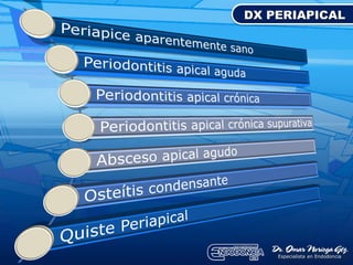 DX PERIAPICAL
 