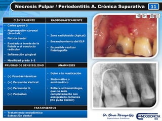 Necrosis Pulpar / Periodontitis A. Crónica Supurativa 11
CLÍNICAMENTE RADIOGRÁFICAMENTE
• Caries grado 3
• Pigmentación coronal
(Gris-Café)
• Fistula dental
• Exudado a través de la
fistula o el conducto
radicular
• Inflamación gingival
• Movilidad grado 1-2
• Zona radiolucida (Apical)
• Ensanchamiento del ELP
• Es posible realizar
fistulografía
PRUEBAS DE SENSIBILIDAD ANAMNESIS
• (-) Pruebas térmicas
• (+) Percusión Vertical
• (+) Percusión H.
• (+) Palpación
• Dolor a la masticación
• Sintomático o
asintomático
• Refiere sintomatología,
que no sede
completamente con
analgésicos comunes
(No pudo dormir)
TRATAMIENTOS
• Tratamiento endodóntico
• Extracción dental
 