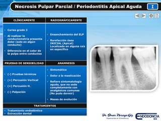 Necrosis Pulpar Parcial / Periodontitis Apical Aguda I
CLÍNICAMENTE RADIOGRÁFICAMENTE
• Caries grado 3
• Al realizar la
conductometria presenta
dolor (solo en algún
conducto)
• Diferencia en el color de
la pulpa entre conductos
• Ensanchamiento del ELP
• Rarefacción ósea
INICIAL (Apical)
Localizada en alguna raíz
en especifico
PRUEBAS DE SENSIBILIDAD ANAMNESIS
• (-) Pruebas térmicas
• (+) Percusión Vertical
• (+) Percusión H.
• (-) Palpación
• Sintomático
• Dolor a la masticación
• Refiere sintomatología
aguda, que no sede
completamente con
analgésicos comunes
(No pudo dormir)
• Meses de evolución
TRATAMIENTOS
• Tratamiento endodóntico
• Extracción dental
 