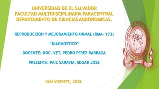 UNIVERSIDAD DE EL SALVADOR
FACULTAD MULTIDISCIPLINARIA PARACENTRAL
DEPARTAMENTO DE CIENCIAS AGRONOMICAS.
REPRODUCCION Y MEJORAMIENTO ANIMAL (RMA- 173)
“DIAGNOSTICO”
DOCENTE: DOC. VET. PEDRO PEREZ BARRAZA
PRESENTA: PAIZ SARAVIA, EDGAR JOSE

SAN VICENTE, 2013.

 