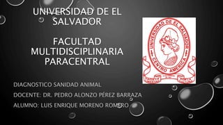UNIVERSIDAD DE EL
SALVADOR
FACULTAD
MULTIDISCIPLINARIA
PARACENTRAL
DIAGNOSTICO SANIDAD ANIMAL
DOCENTE: DR. PEDRO ALONZO PÉREZ BARRAZA
ALUMNO: LUIS ENRIQUE MORENO ROMERO
 