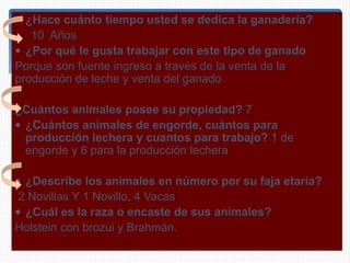  ¿Hace cuánto tiempo usted se dedica la ganadería?
10 Años
 ¿Por qué le gusta trabajar con este tipo de ganado
Porque son fuente ingreso a través de la venta de la
producción de leche y venta del ganado
¿Cuántos animales posee su propiedad? 7
 ¿Cuántos animales de engorde, cuántos para
producción lechera y cuantos para trabajo? 1 de
engorde y 6 para la producción lechera
 ¿Describe los animales en número por su faja etaria?
2 Novillas Y 1 Novillo, 4 Vacas
 ¿Cuál es la raza o encaste de sus animales?
Holstein con brozui y Brahmán.
 
